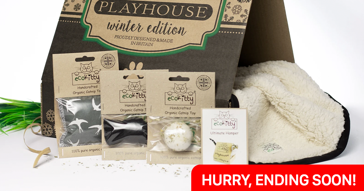 WIN this Luxury Eco Cat Hamper Snizl Ltd Free Competition