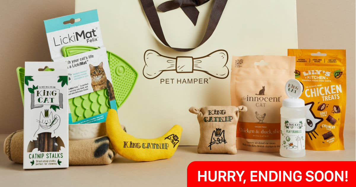 WIN this Luxury Cat Hamper Snizl Ltd Free Competition